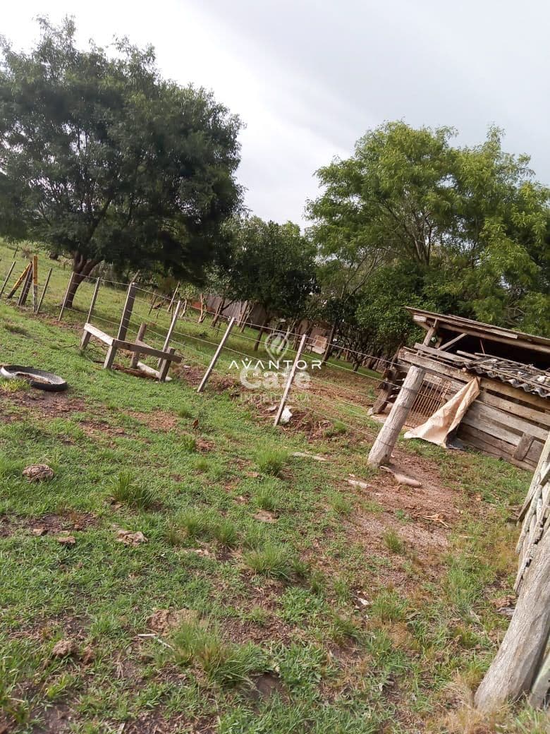 Chácara com 2 quartos à venda em Interior, Dilermando de Aguiar/RS — foto 18 de 20