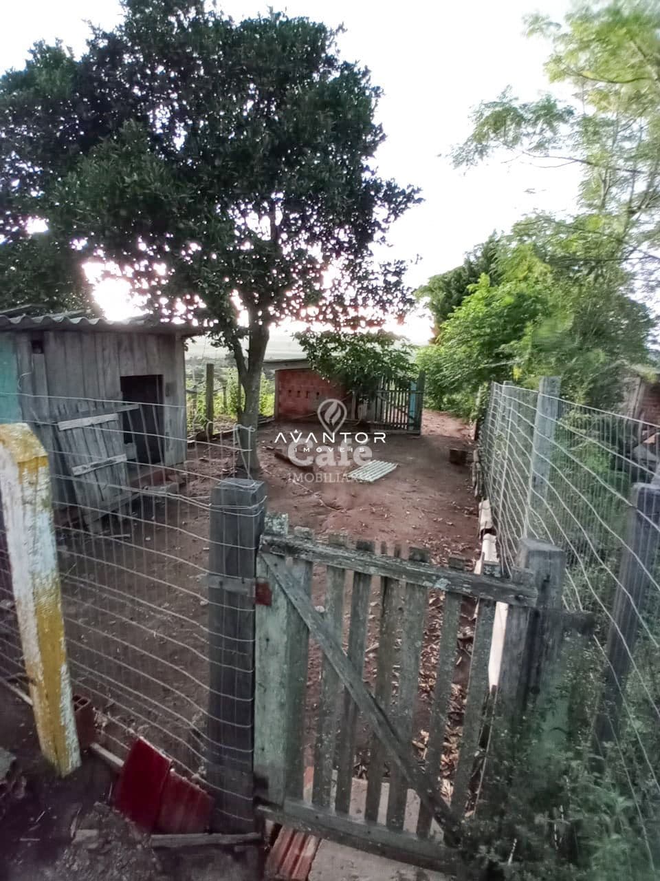 Chácara com 2 quartos à venda em Interior, Dilermando de Aguiar/RS — foto 19 de 20