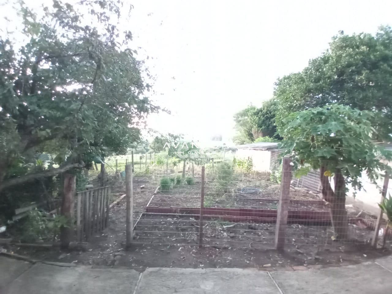 Chácara com 2 quartos à venda em Interior, Dilermando de Aguiar/RS — foto 20 de 20