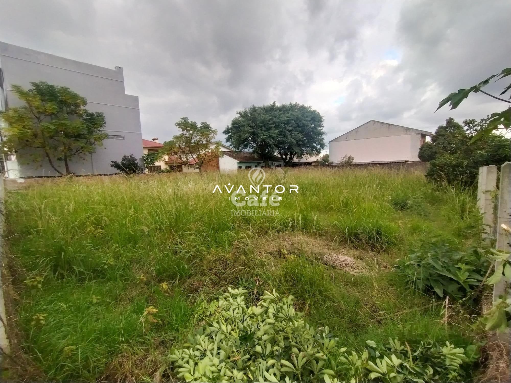 Terreno com vegetação e construções ao fundo — Terreno à venda em Dom Antônio Reis, Santa Maria/RS