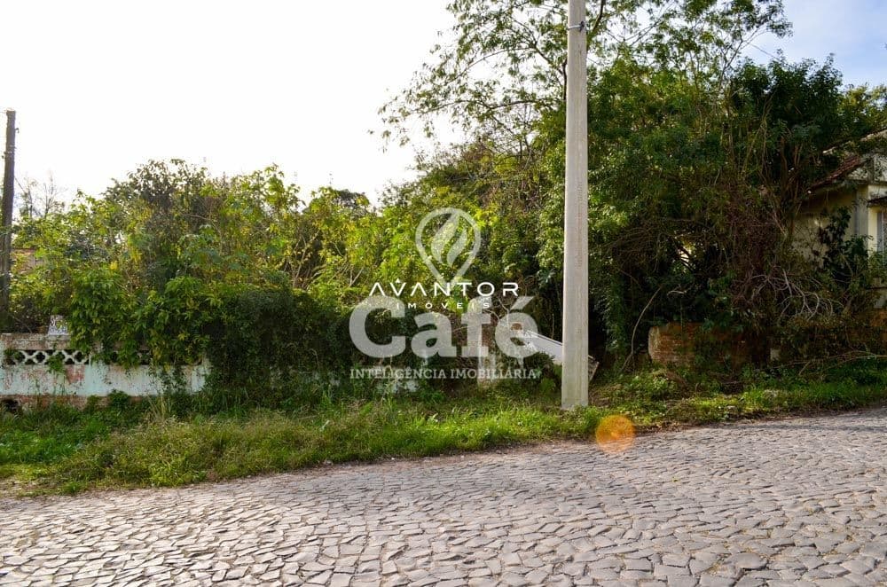 Terreno com vegetação e acesso pavimentado — Terreno à venda em Nossa Senhora do Rosário, Santa Maria/RS