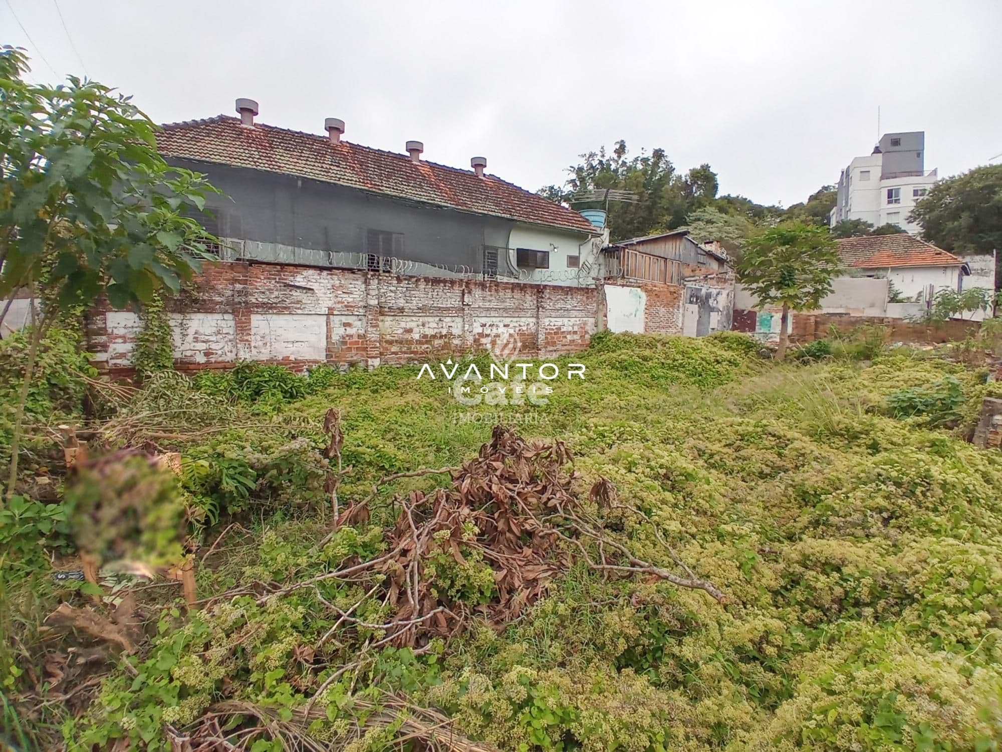 Terreno com construções antigas e vegetação — Terreno com 1 quarto à venda em Nossa Senhora do Rosário, Santa Maria/RS