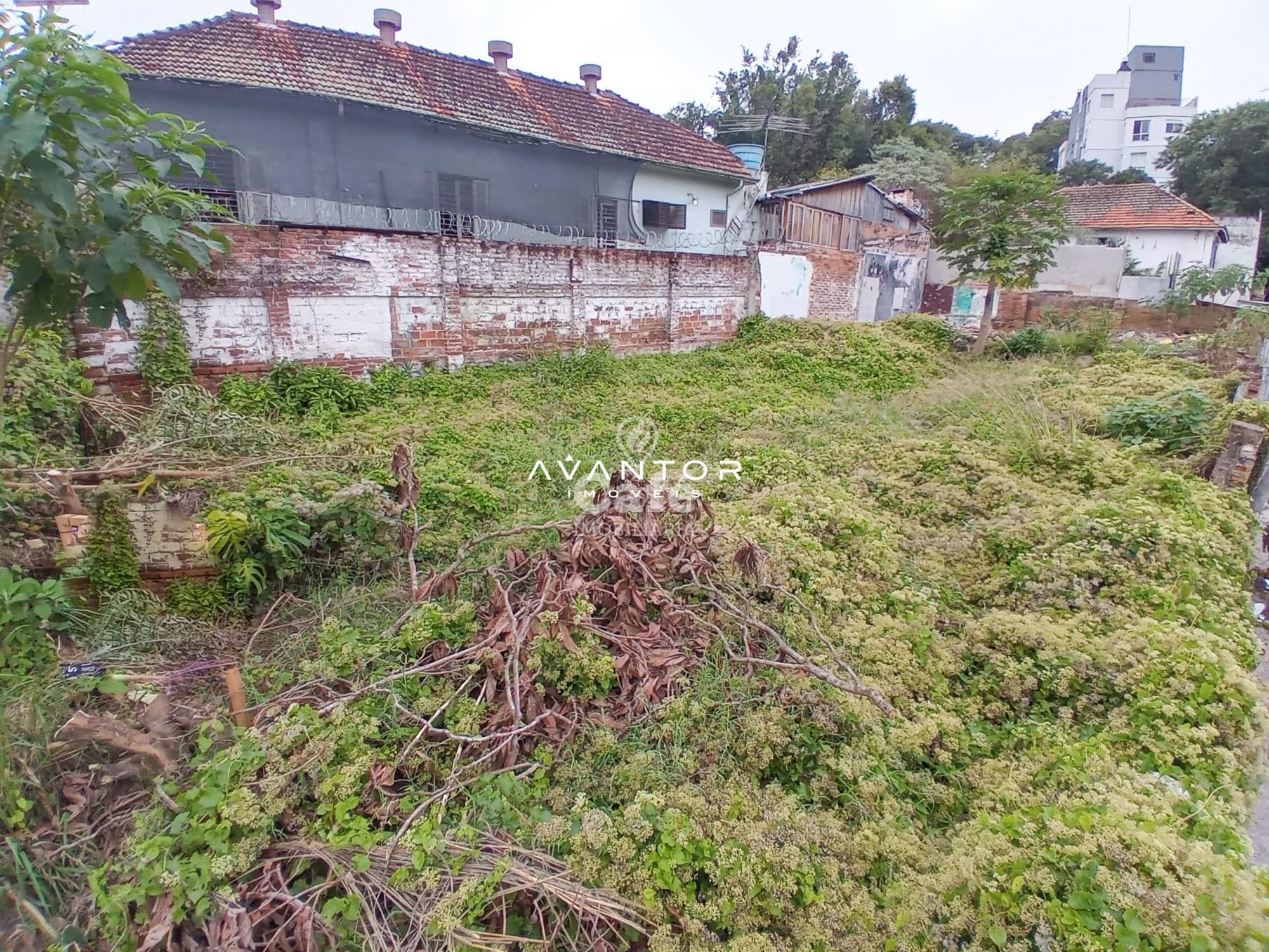 Terreno com 1 quarto à venda em Nossa Senhora do Rosário, Santa Maria/RS — foto 2 de 2