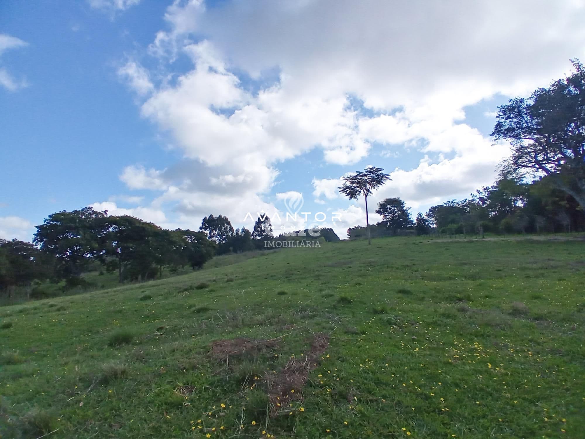 Chácara com 2 quartos à venda em Zona Rural, São Valentim/RS — foto 3 de 43