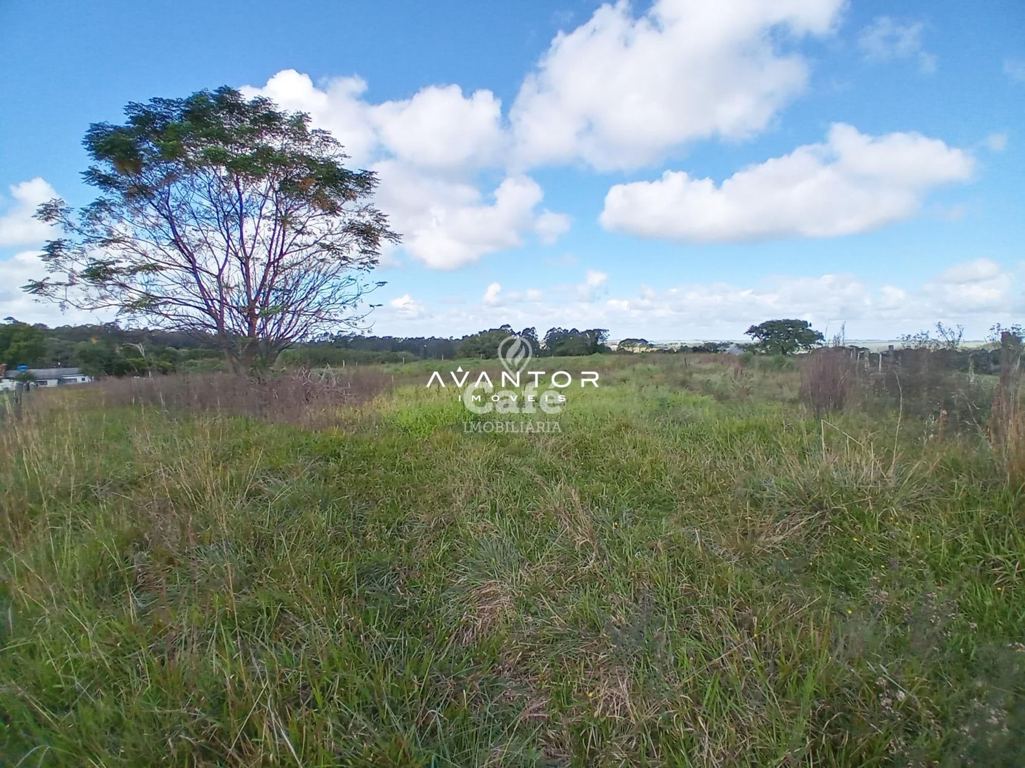 Chácara com 2 quartos à venda em Zona Rural, São Valentim/RS — foto 5 de 43