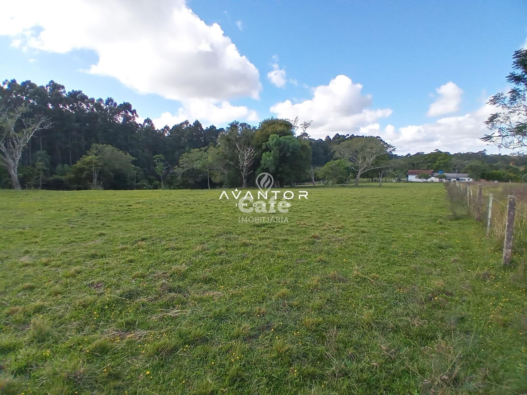 Chácara com 2 quartos à venda em Zona Rural, São Valentim/RS — foto 6 de 43