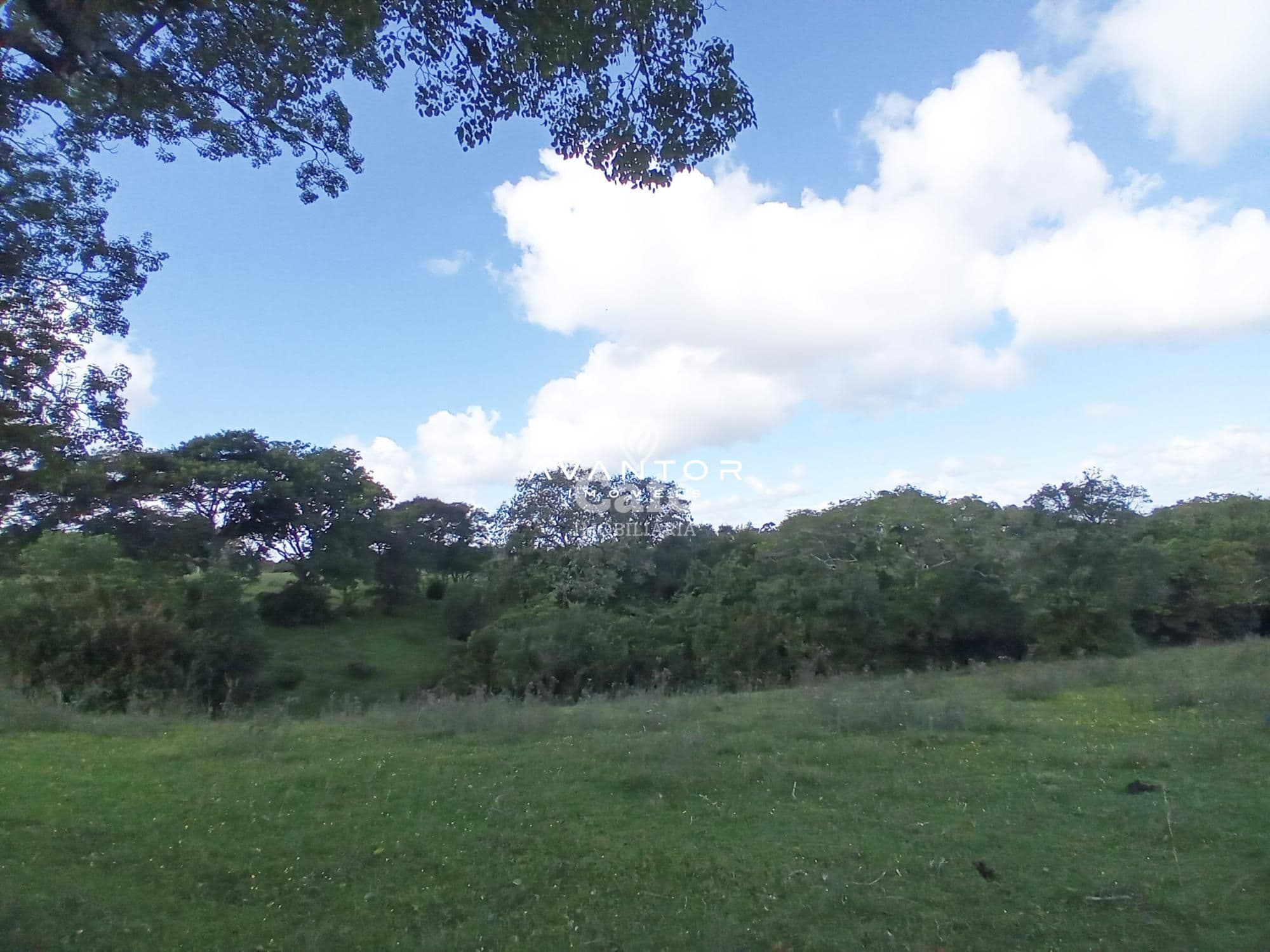 Chácara com 2 quartos à venda em Zona Rural, São Valentim/RS — foto 9 de 43