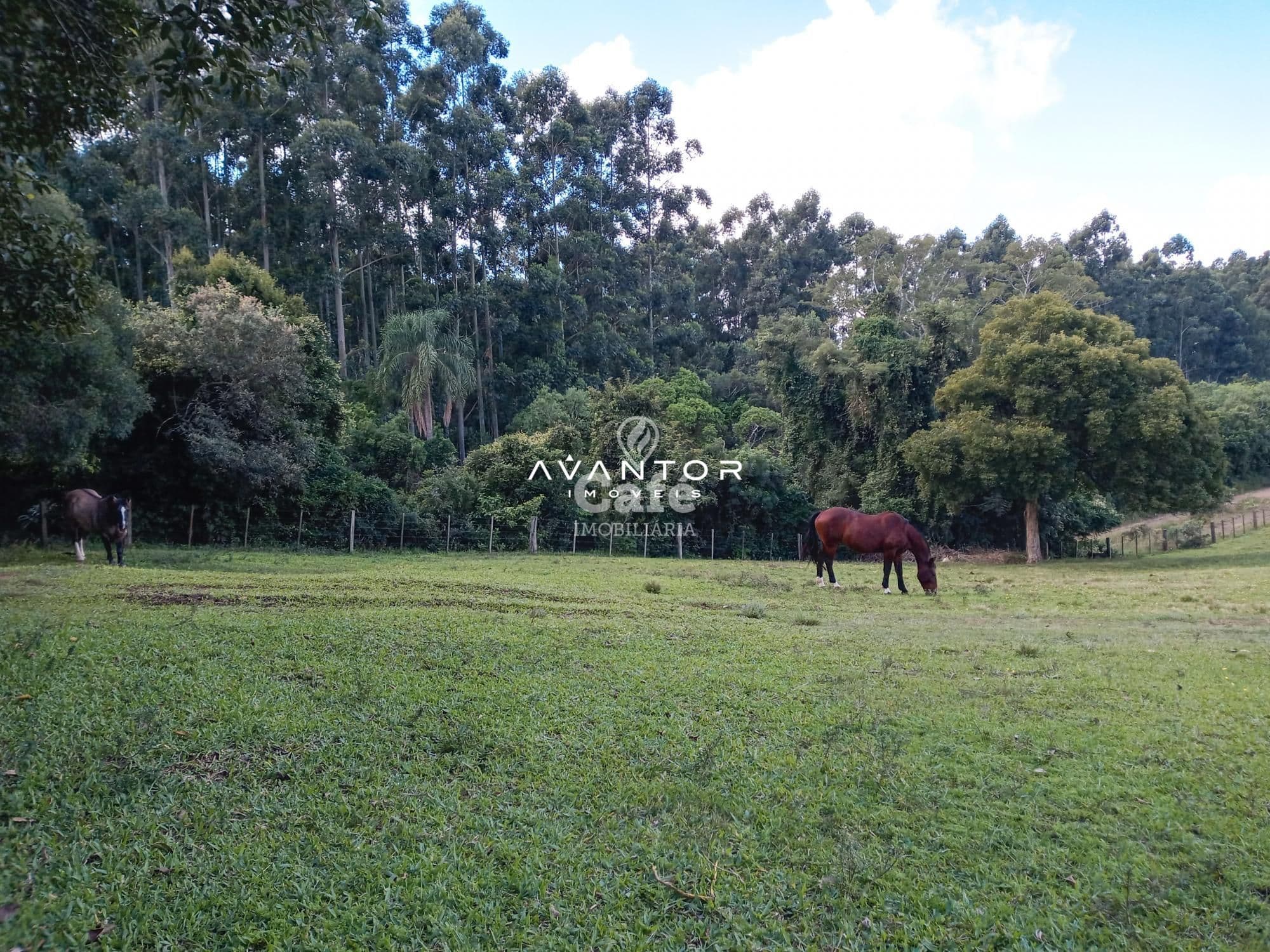 Chácara com 2 quartos à venda em Zona Rural, São Valentim/RS — foto 10 de 43