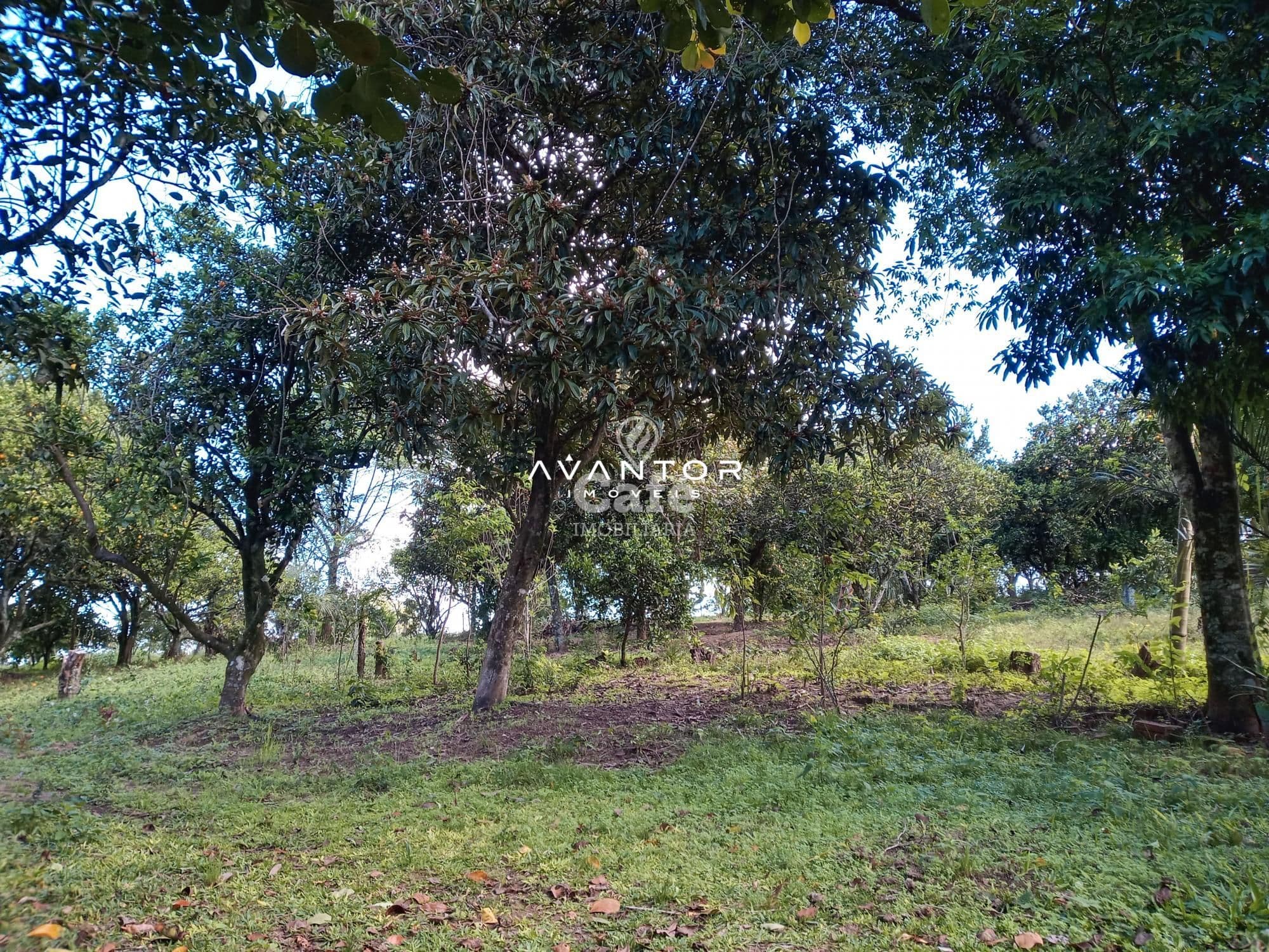 Chácara com 2 quartos à venda em Zona Rural, São Valentim/RS — foto 11 de 43