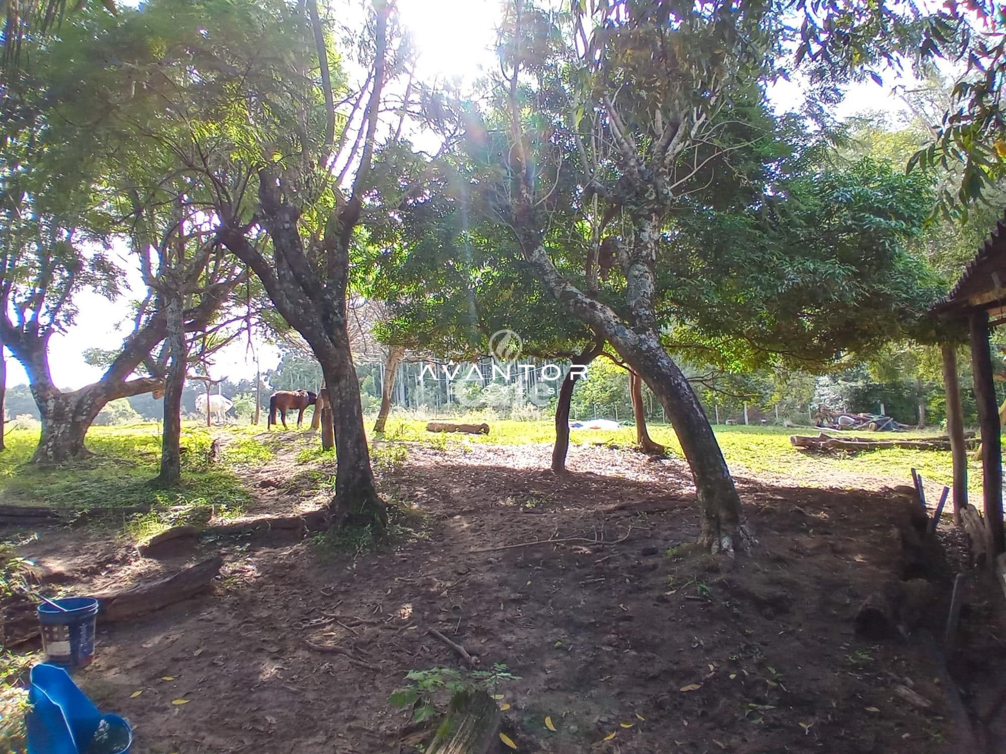 Chácara com 2 quartos à venda em Zona Rural, São Valentim/RS — foto 17 de 43