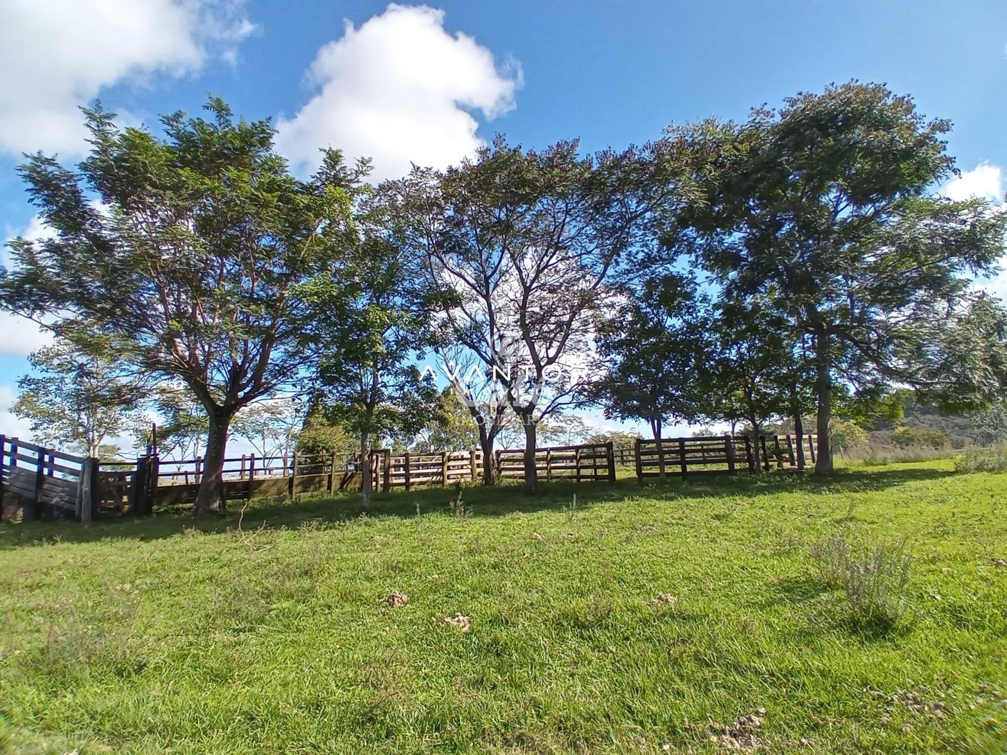 Chácara com 2 quartos à venda em Zona Rural, São Valentim/RS — foto 26 de 43