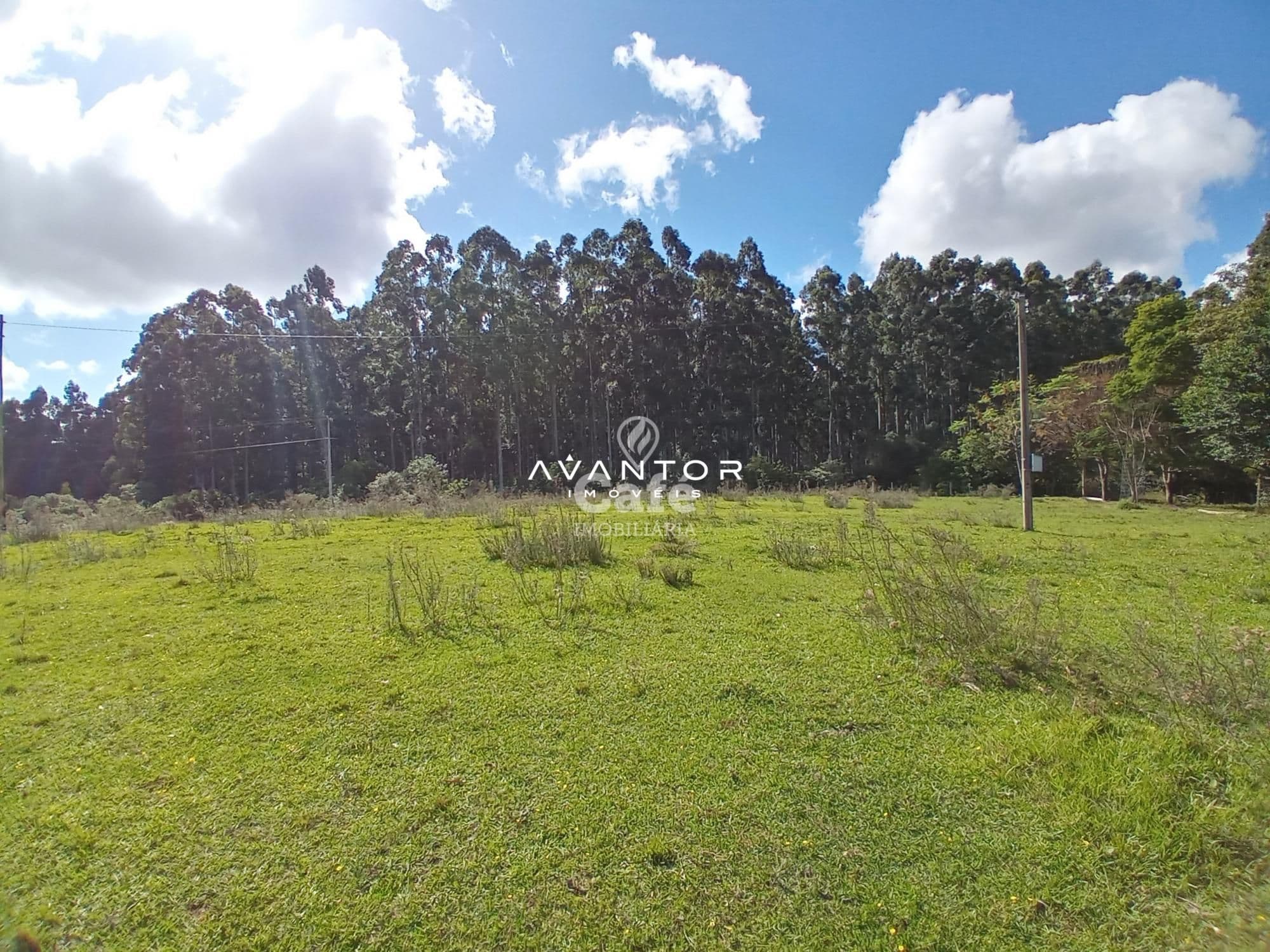 Chácara com 2 quartos à venda em Zona Rural, São Valentim/RS — foto 28 de 43