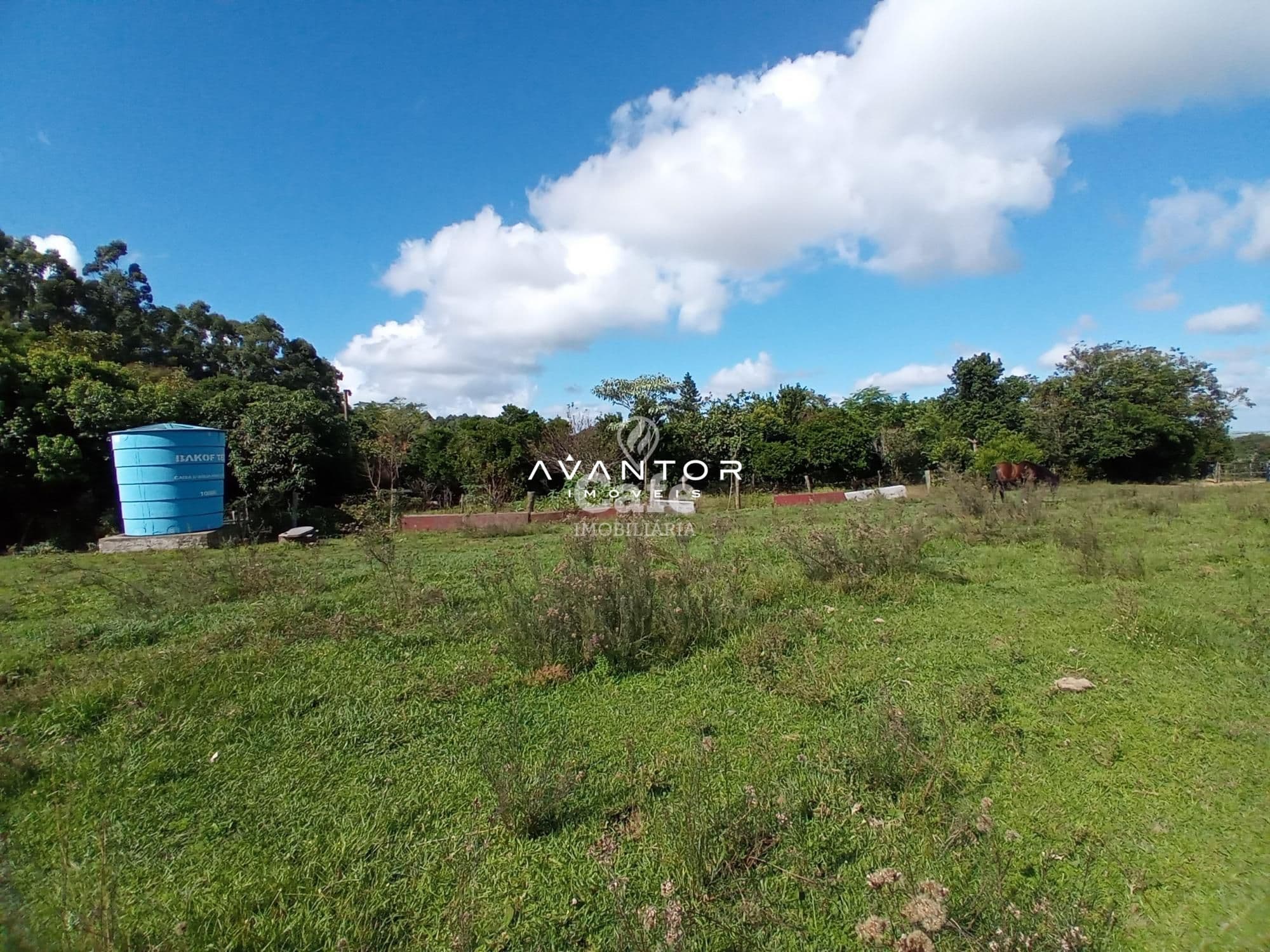 Chácara com 2 quartos à venda em Zona Rural, São Valentim/RS — foto 29 de 43