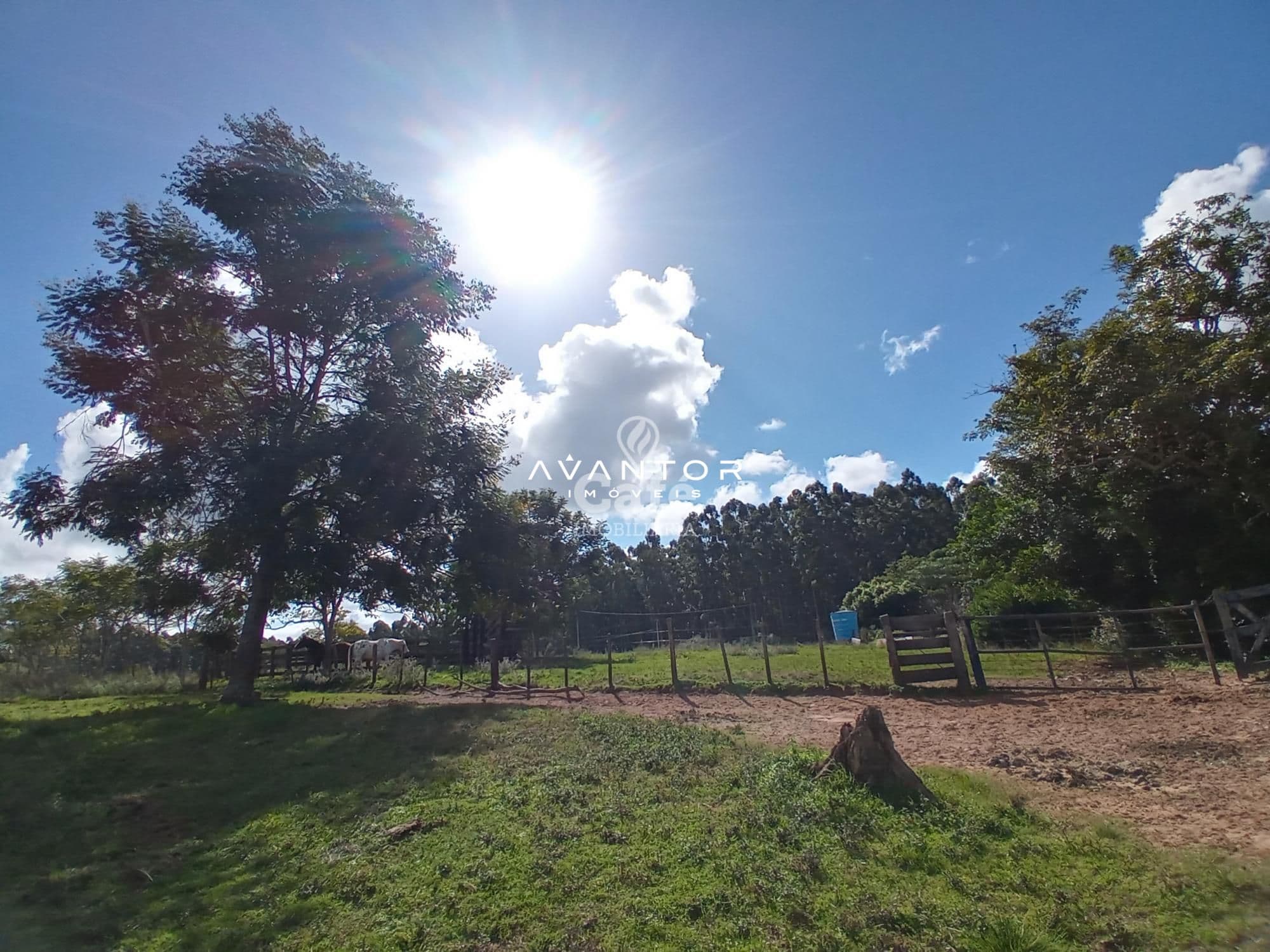 Chácara com 2 quartos à venda em Zona Rural, São Valentim/RS — foto 33 de 43