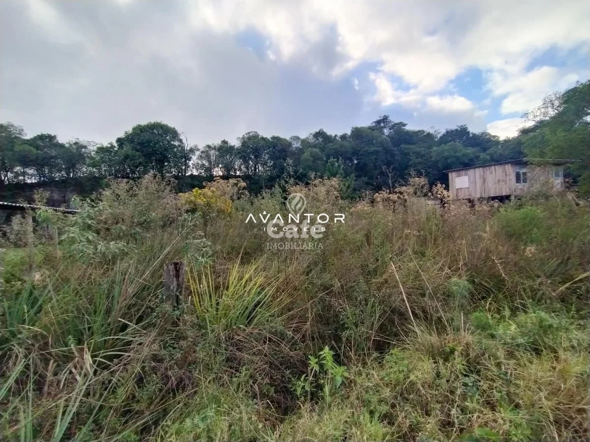Terreno com vegetação e mata ao fundo — Terreno à venda em Parque Serrano I, Itaara/RS