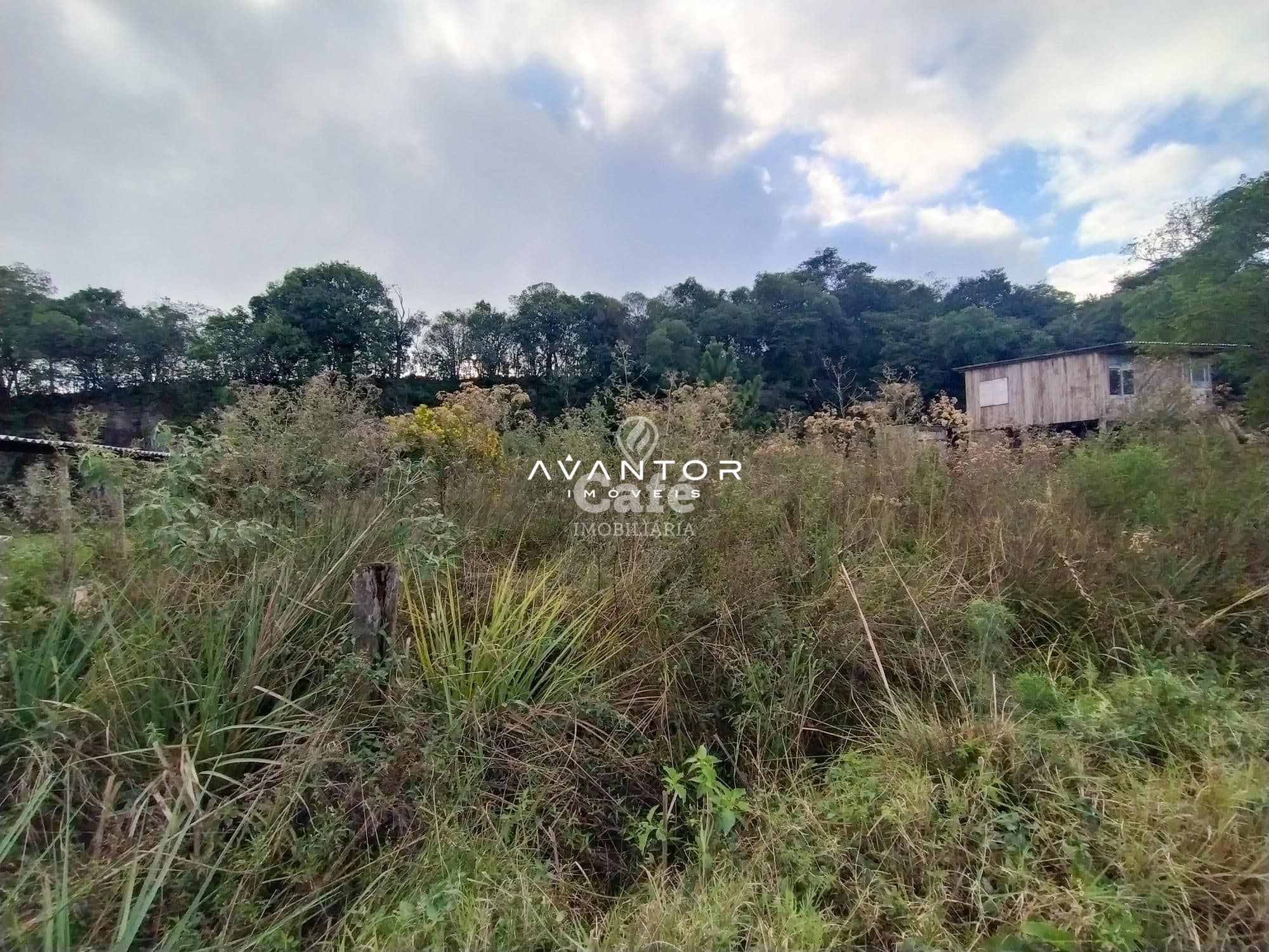 Terreno com mata nativa e vegetação — Terreno à venda em Parque Serrano I, Itaara/RS