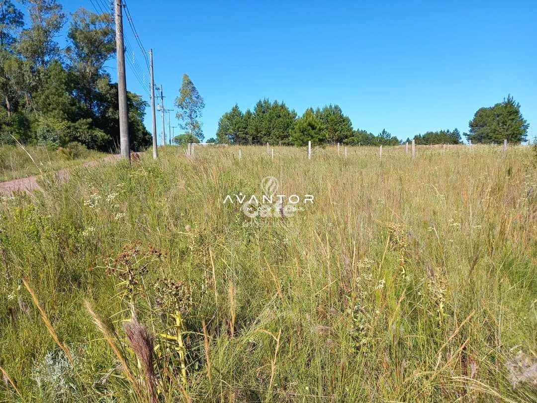 Terreno com cerca e vegetação nativa — Terreno à venda em Diácono João Luiz Pozzobon, Santa Maria/RS