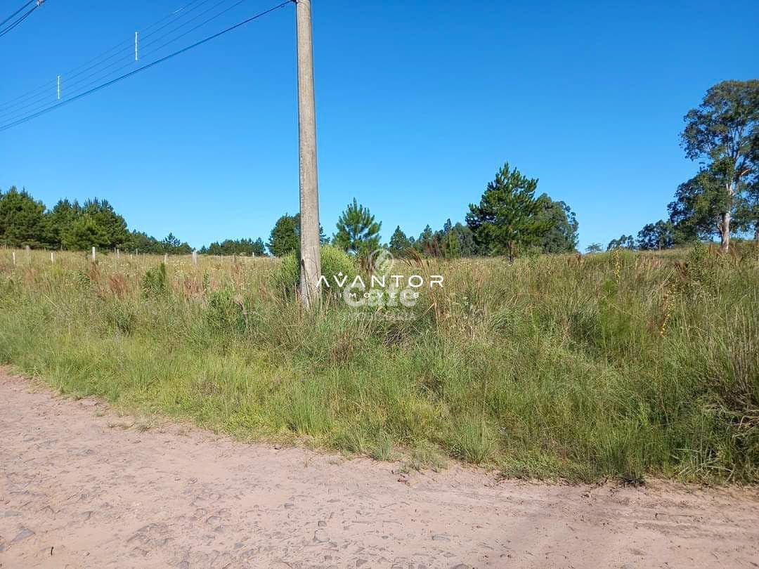 Terreno à venda em Diácono João Luiz Pozzobon, Santa Maria/RS — foto 3 de 6