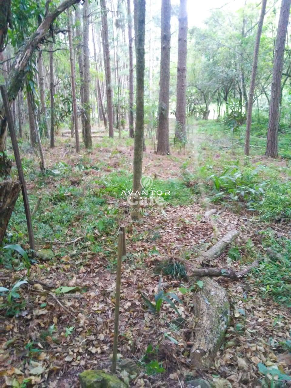 Terreno Amplo em Itaara De 891 m² pronto para construir — Terreno à venda em Parque Serrano I, Itaara/RS