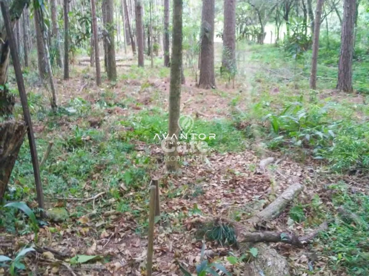 Terreno Amplo em Itaara De 891 m² pronto para construir — Terreno à venda em Parque Serrano I, Itaara/RS