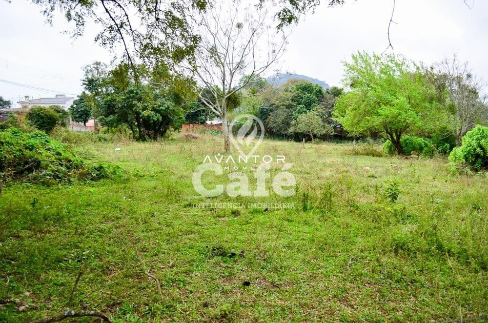 Terreno à venda em Presidente João Goulart, Santa Maria/RS — foto 2 de 7