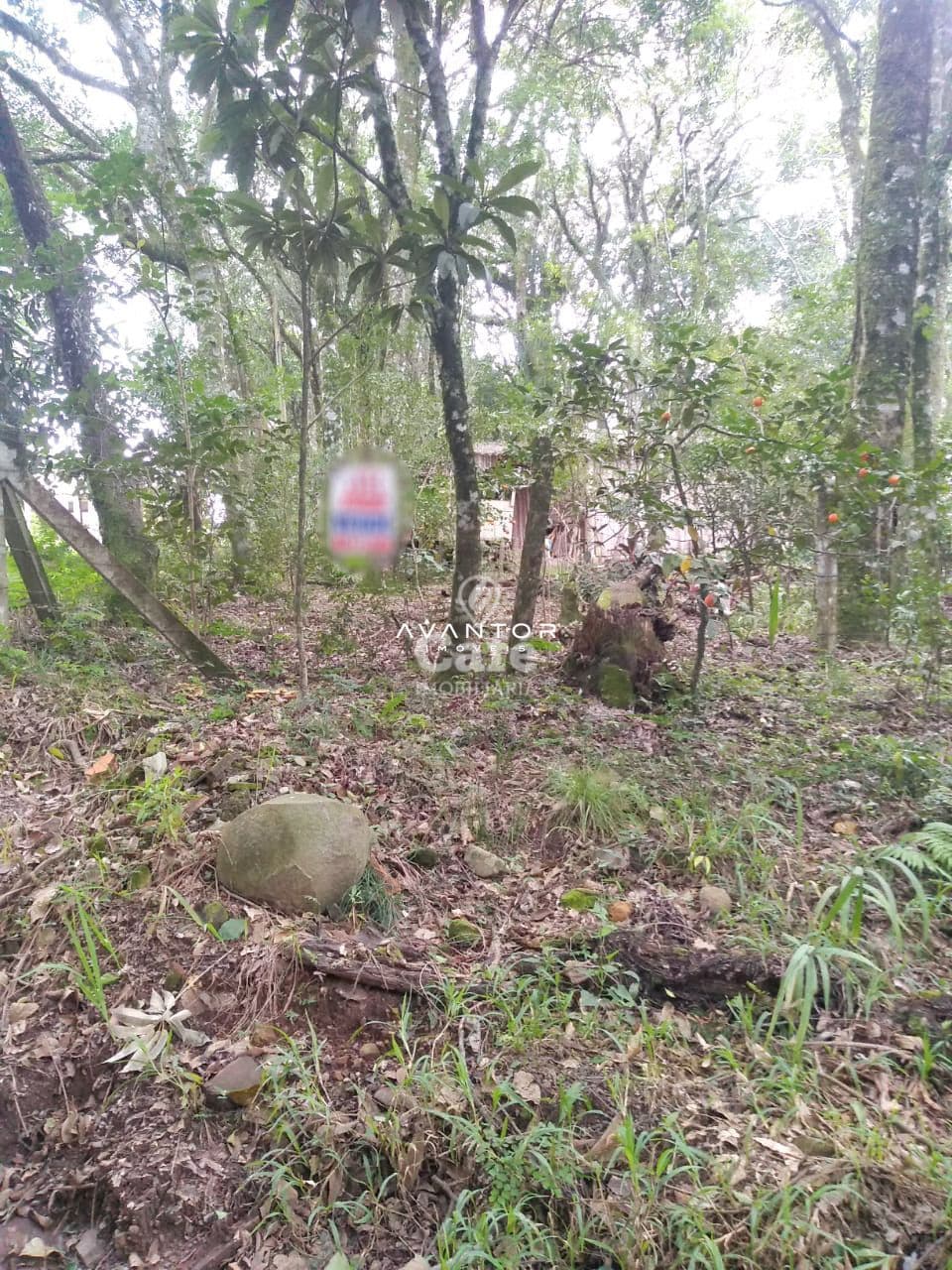 Terreno Amplo em Itaara De 1000 m², mais um Salão De Festas — Terreno à venda em Parque Serrano I, Itaara/RS