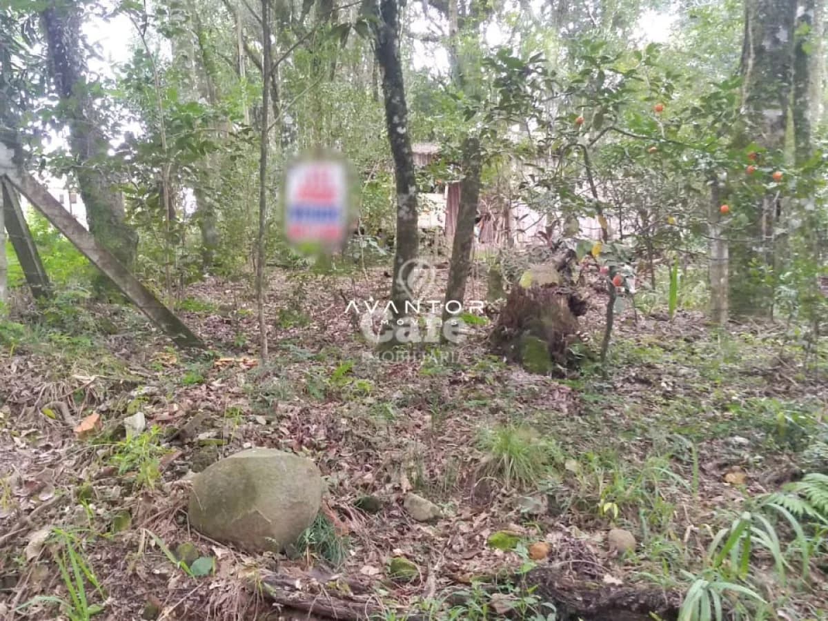 Terreno Amplo em Itaara De 1000 m², mais um Salão De Festas — Terreno à venda em Parque Serrano I, Itaara/RS