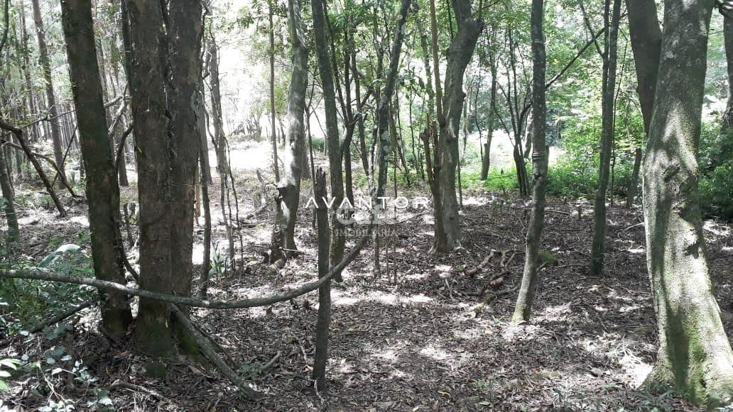 Terreno Amplo em Itaara De 1000 m², mais um Salão De Festas — Terreno à venda em Parque Serrano I, Itaara/RS