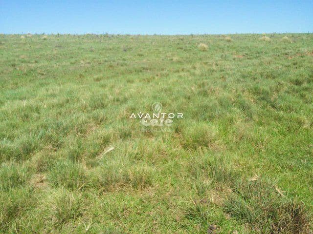 Terreno com vegetação nativa — Campo à venda em Itu, Santiago/RS