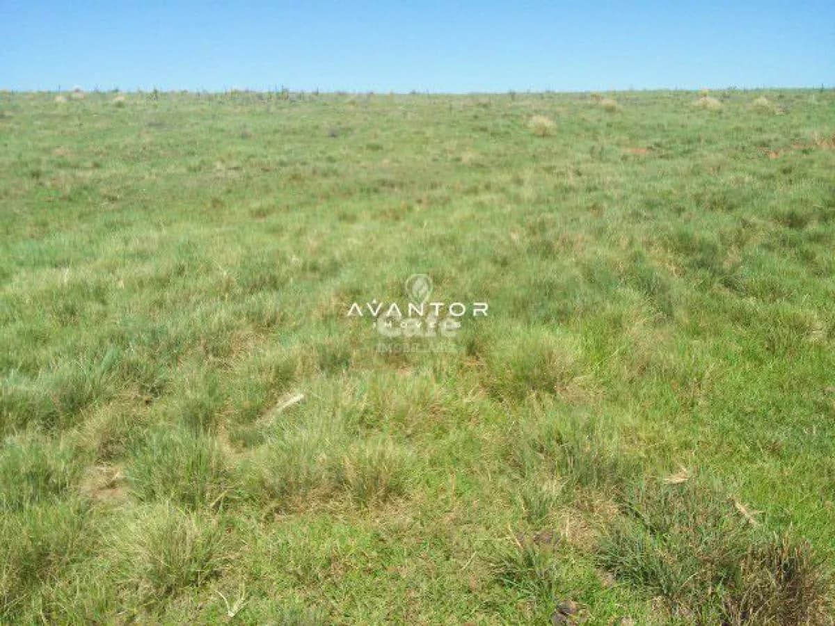 Terreno com vegetação nativa — Campo à venda em Itu, Santiago/RS