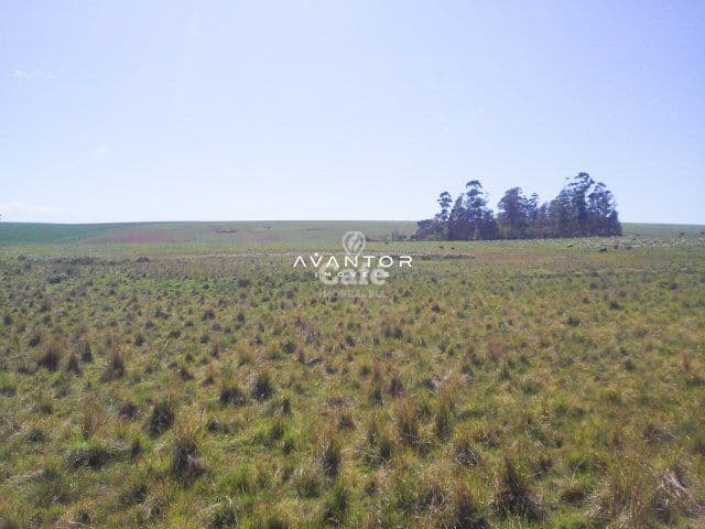 Campo à venda em Itu, Santiago/RS — foto 2 de 3