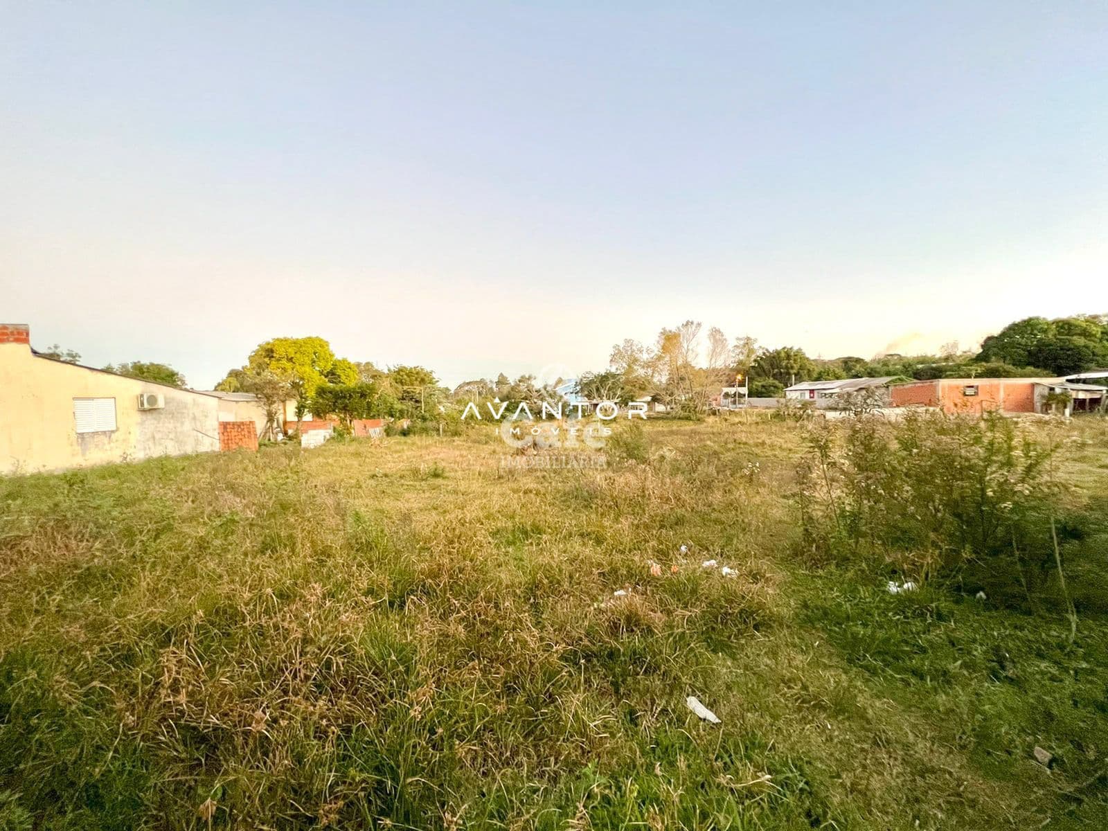 Terreno com vegetação e construções ao fundo — Terreno à venda em Boi Morto, Santa Maria/RS