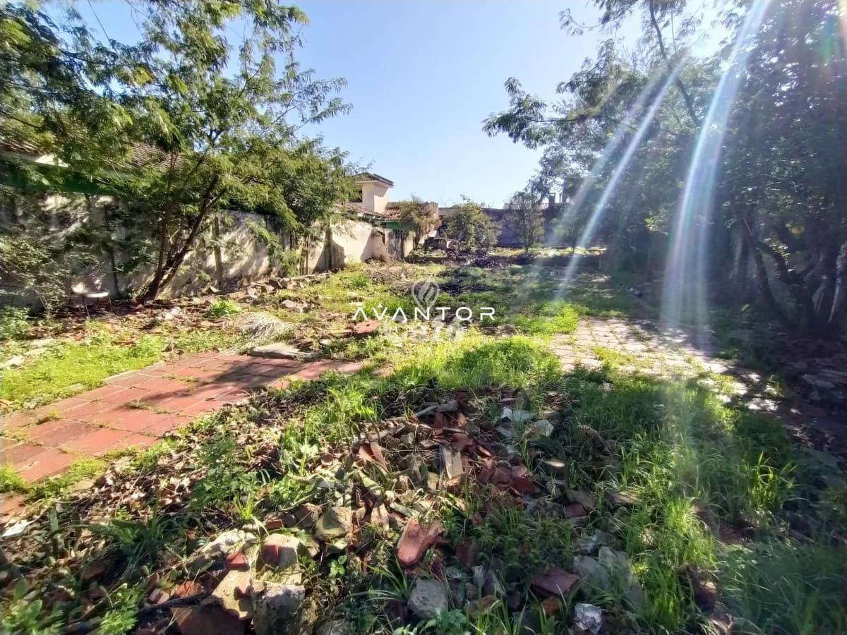 Terreno com vegetação e construção ao fundo — Terreno à venda em Noal, Santa Maria/RS