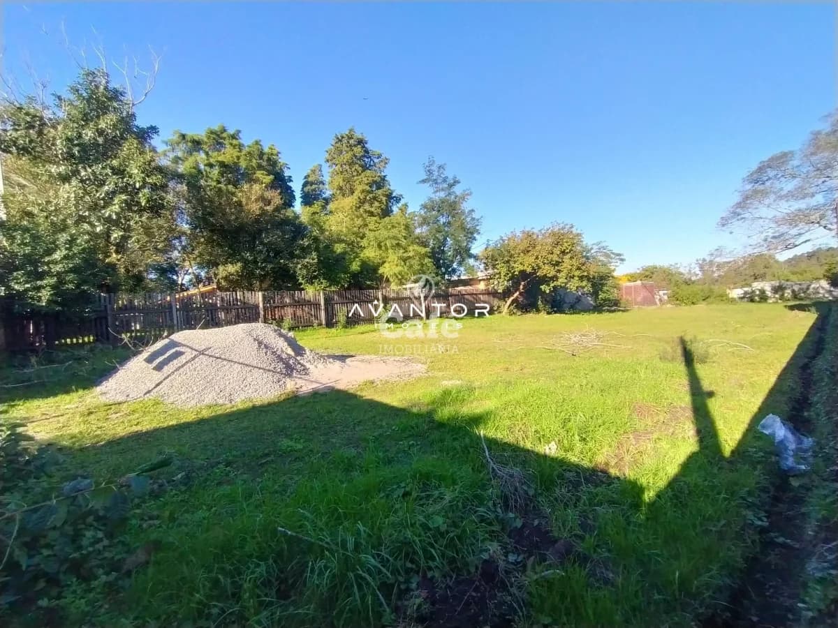 Terreno com cerca de madeira e vegetação — Terreno à venda em Camobi, Santa Maria/RS