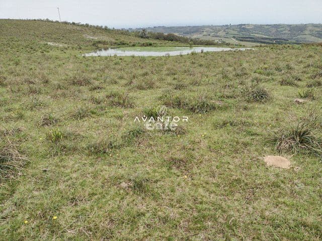 Atenção pecuarista área de pecuária em Caçapava excelente localização — Campo à venda em Cidade Jardim, Caçapava do Sul/RS