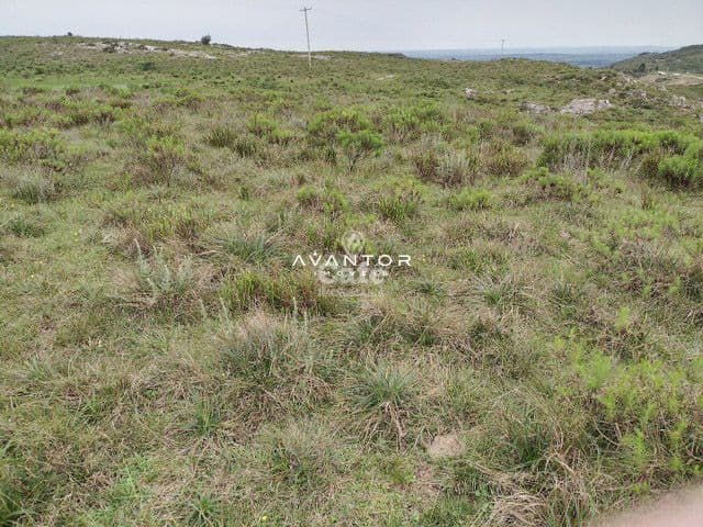 Atenção pecuarista área de pecuária em Caçapava excelente localização — Campo à venda em Cidade Jardim, Caçapava do Sul/RS