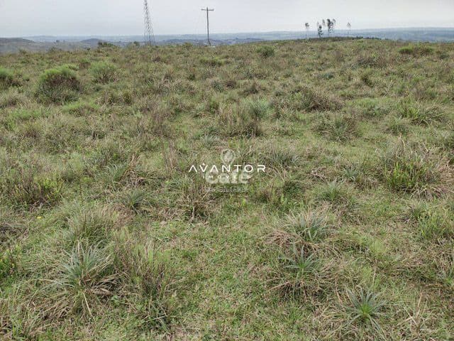 Atenção pecuarista área de pecuária em Caçapava excelente localização — Campo à venda em Cidade Jardim, Caçapava do Sul/RS