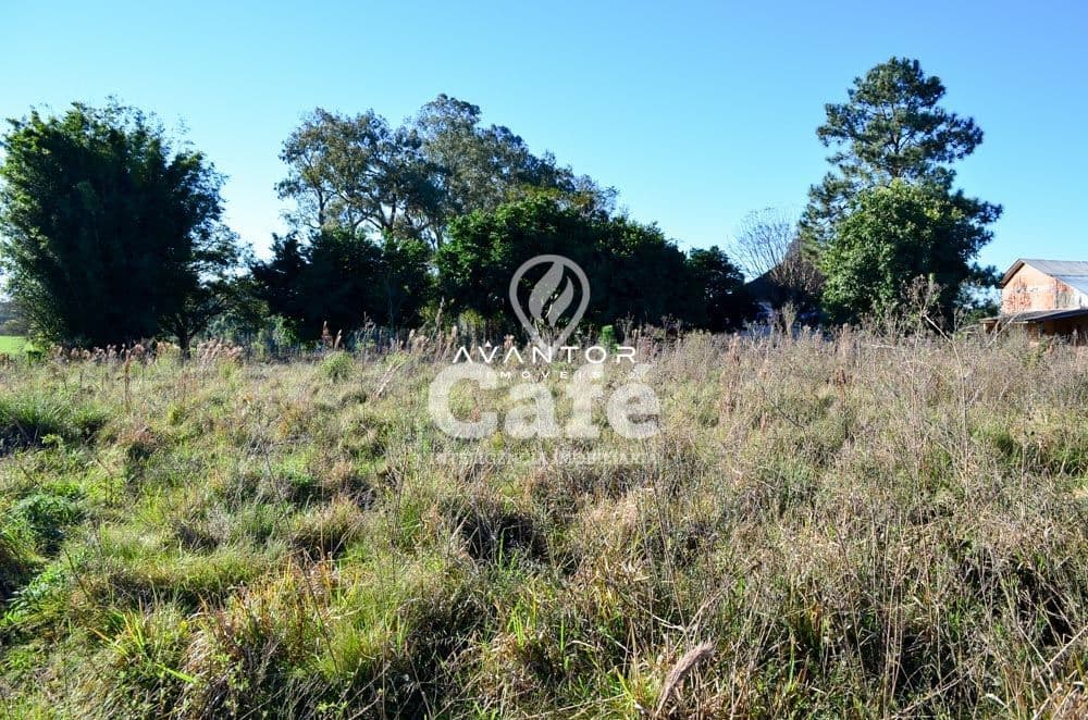 Terreno à venda em Zona rural, Santa Maria/RS — foto 9 de 9