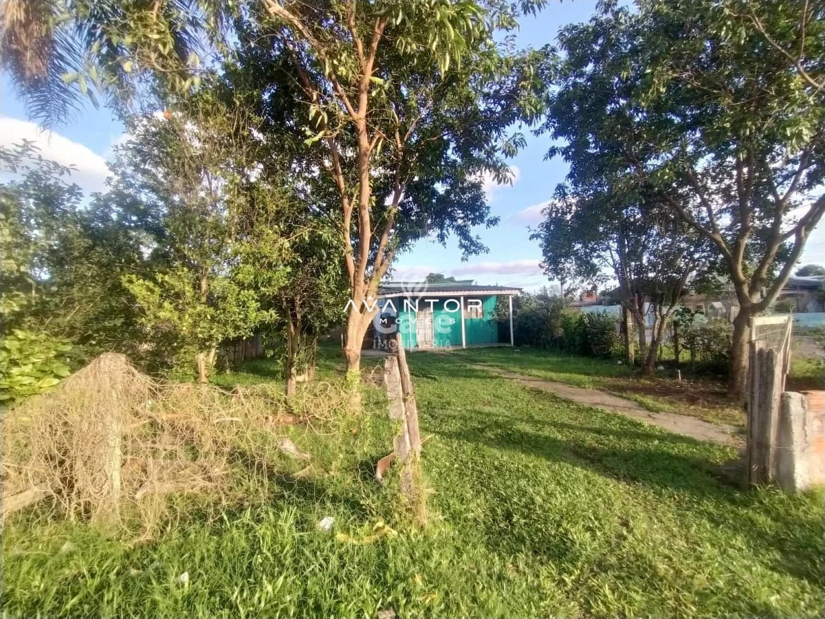 Terreno com árvores e construção ao fundo — Terreno à venda em Divina Providência, Santa Maria/RS