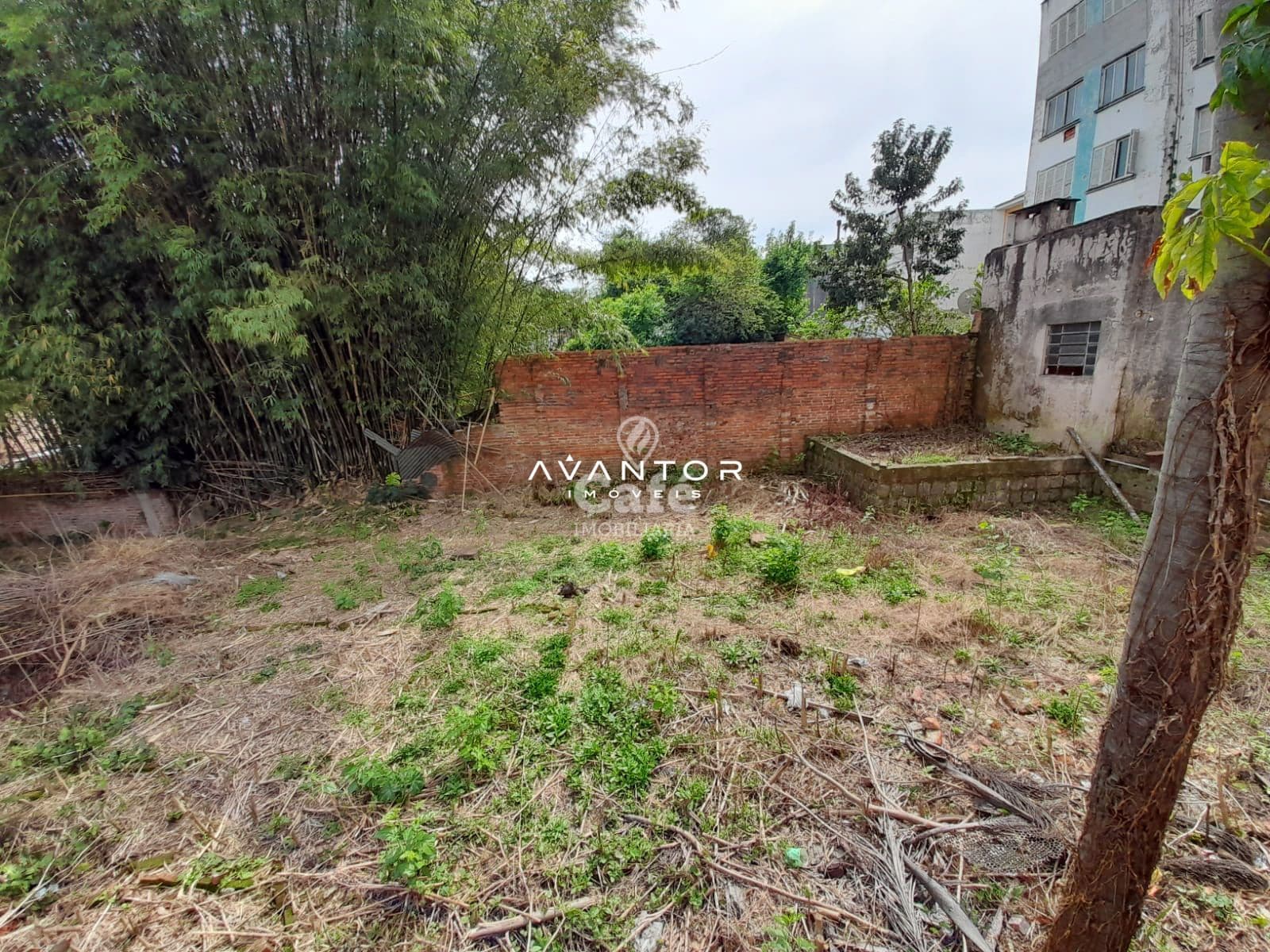 Terreno à venda em Centro, Santa Maria/RS — foto 5 de 7