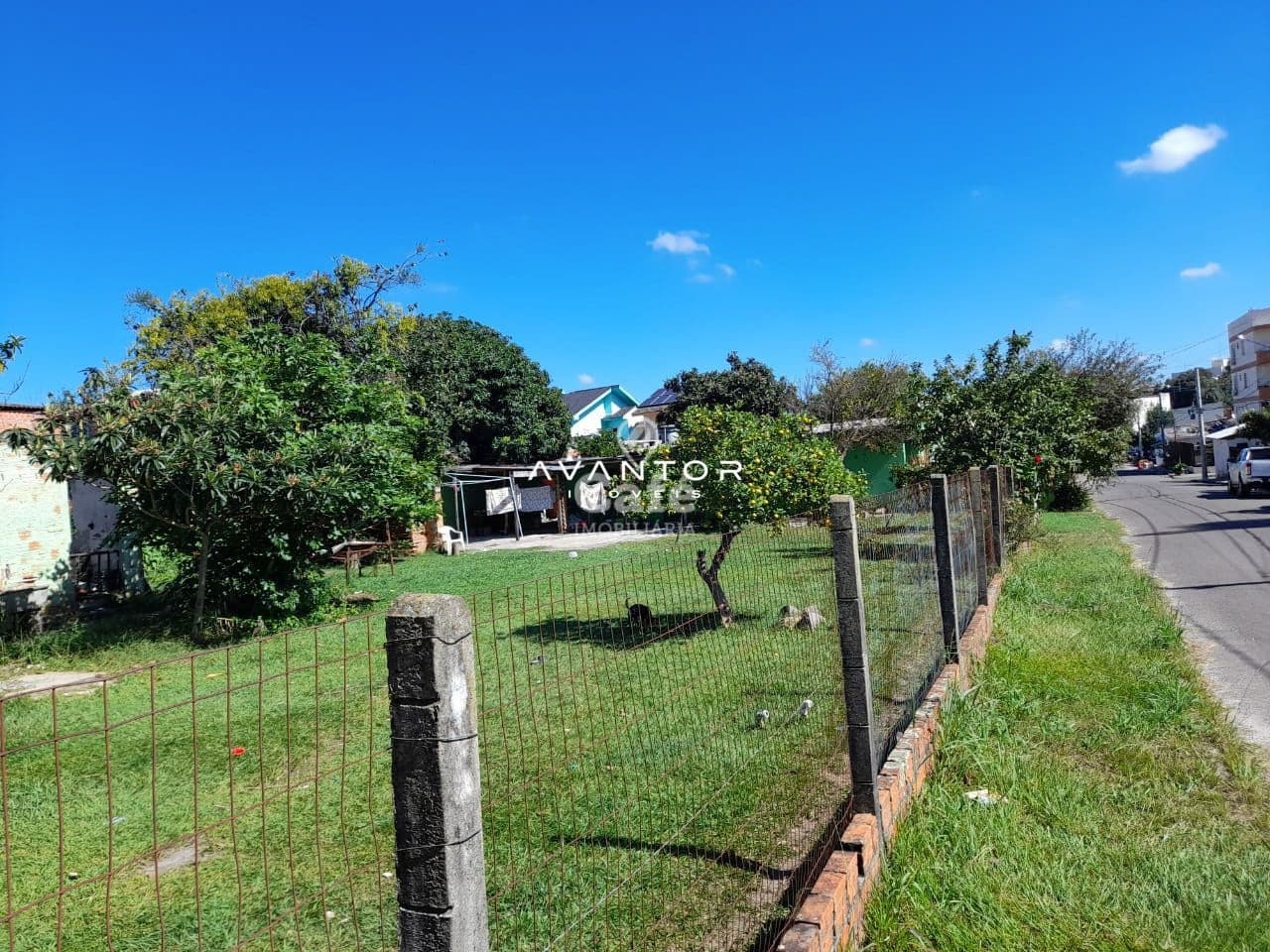 Terreno com árvores e cerca de alambrado — Terreno à venda em Nossa Senhora Medianeira, Santa Maria/RS