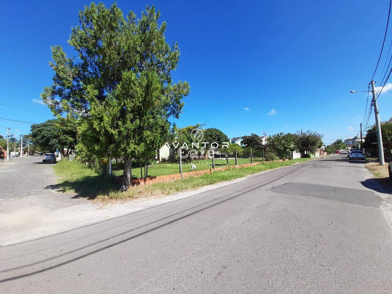 Terreno à venda em Nossa Senhora Medianeira, Santa Maria/RS — foto 5 de 7