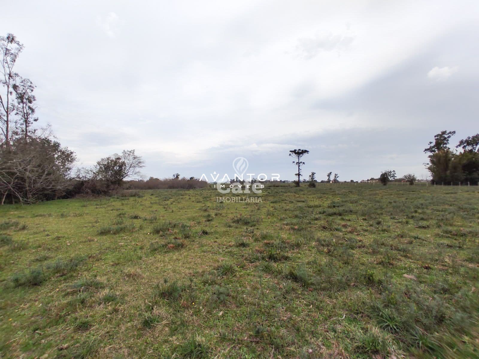 Terreno com vegetação e árvores dispersas — Campo à venda em Pains, Santa Maria/RS