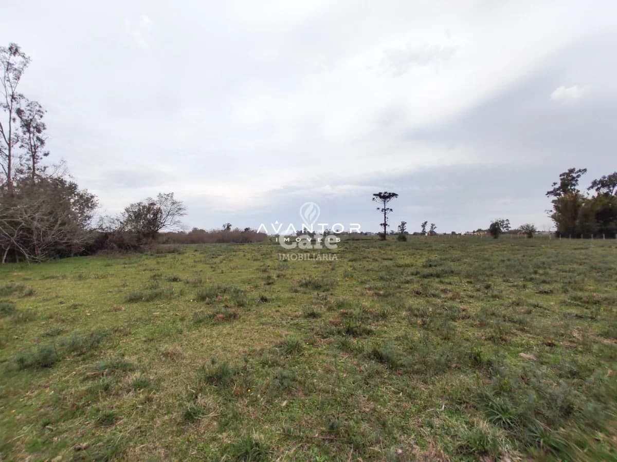Terreno com vegetação e árvores dispersas — Campo à venda em Pains, Santa Maria/RS