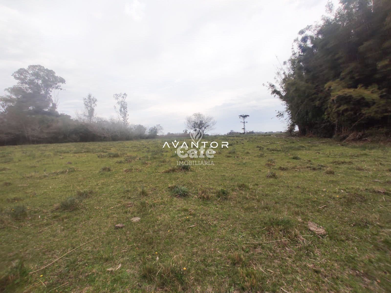 Campo à venda em Pains, Santa Maria/RS — foto 2 de 11