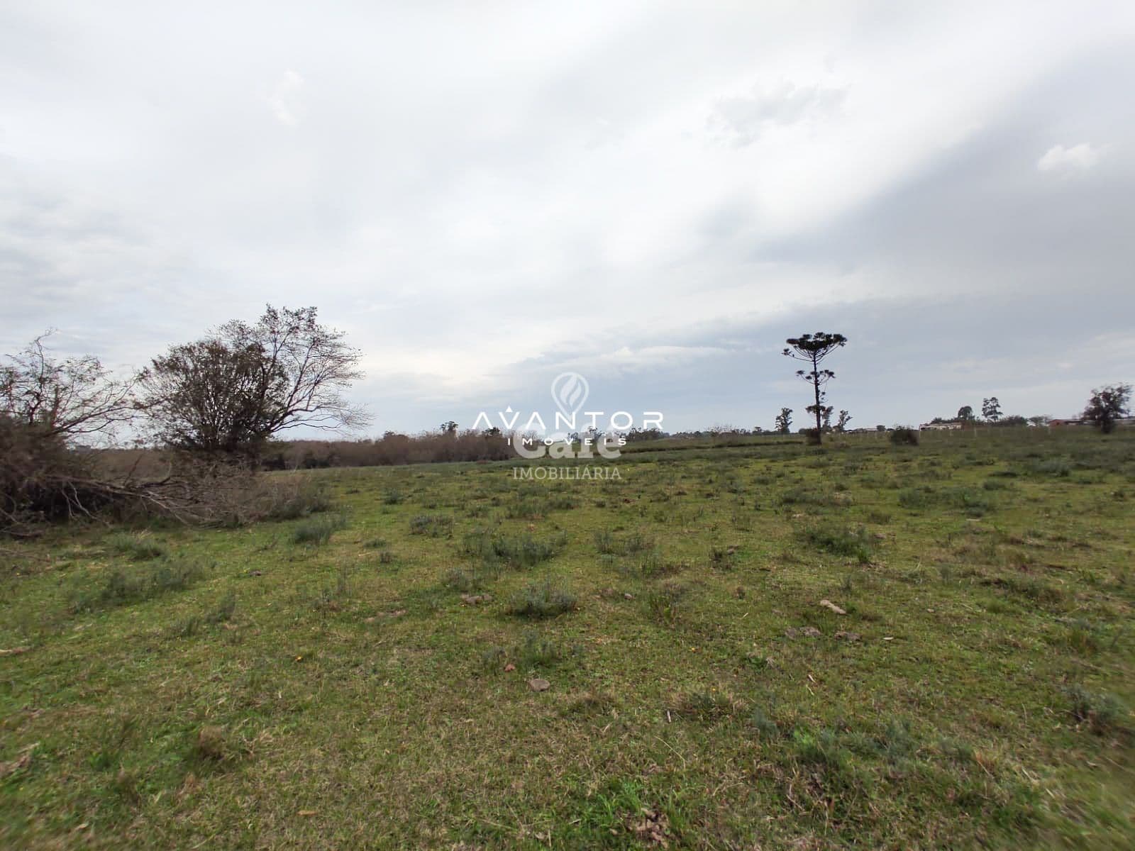 Campo à venda em Pains, Santa Maria/RS — foto 3 de 11