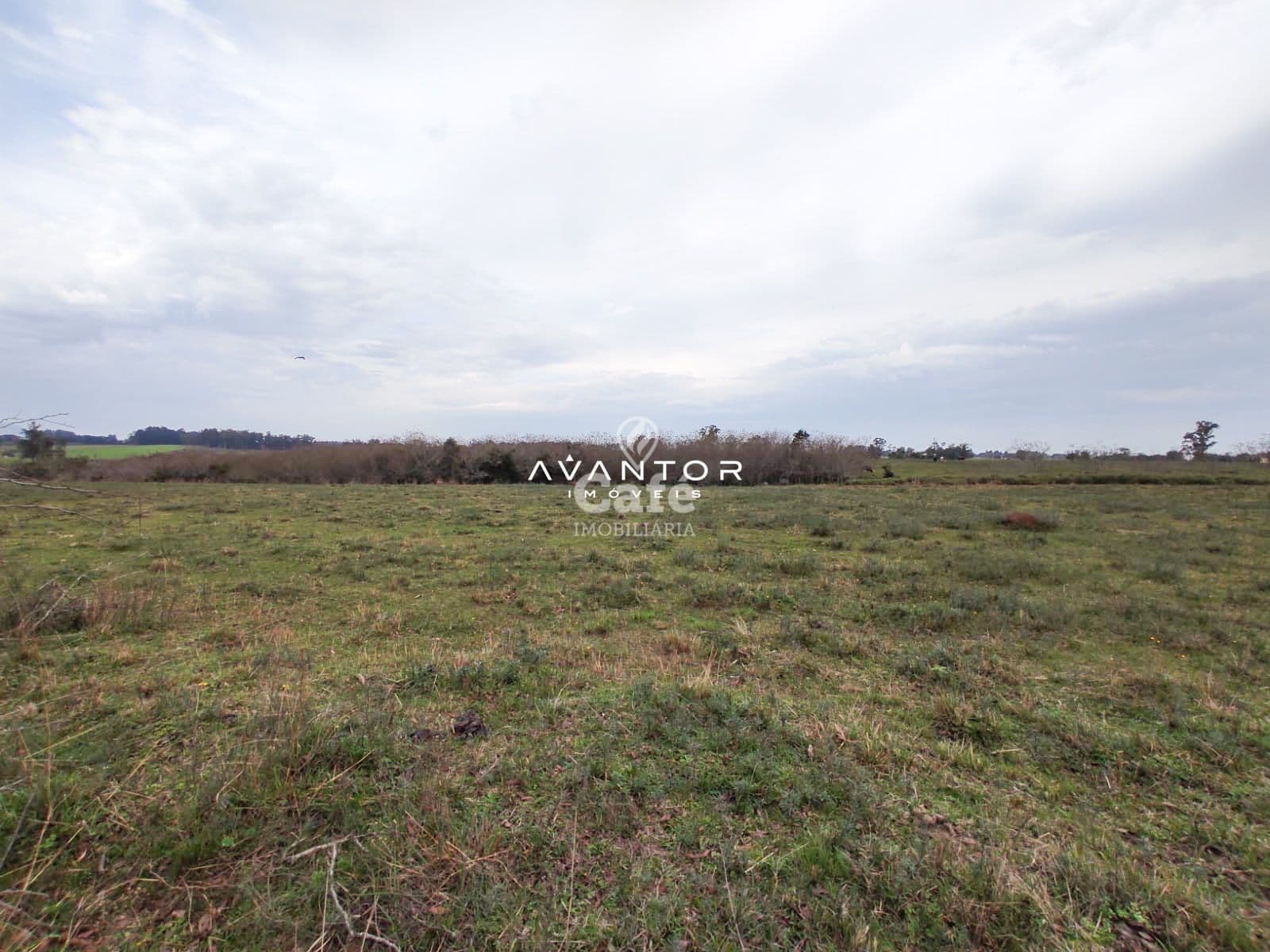 Campo à venda em Pains, Santa Maria/RS — foto 5 de 11