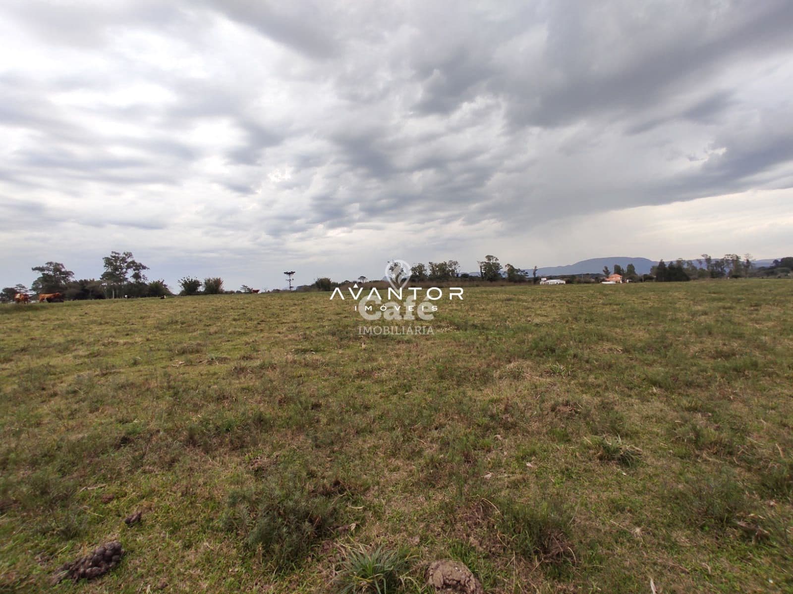 Campo à venda em Pains, Santa Maria/RS — foto 7 de 11