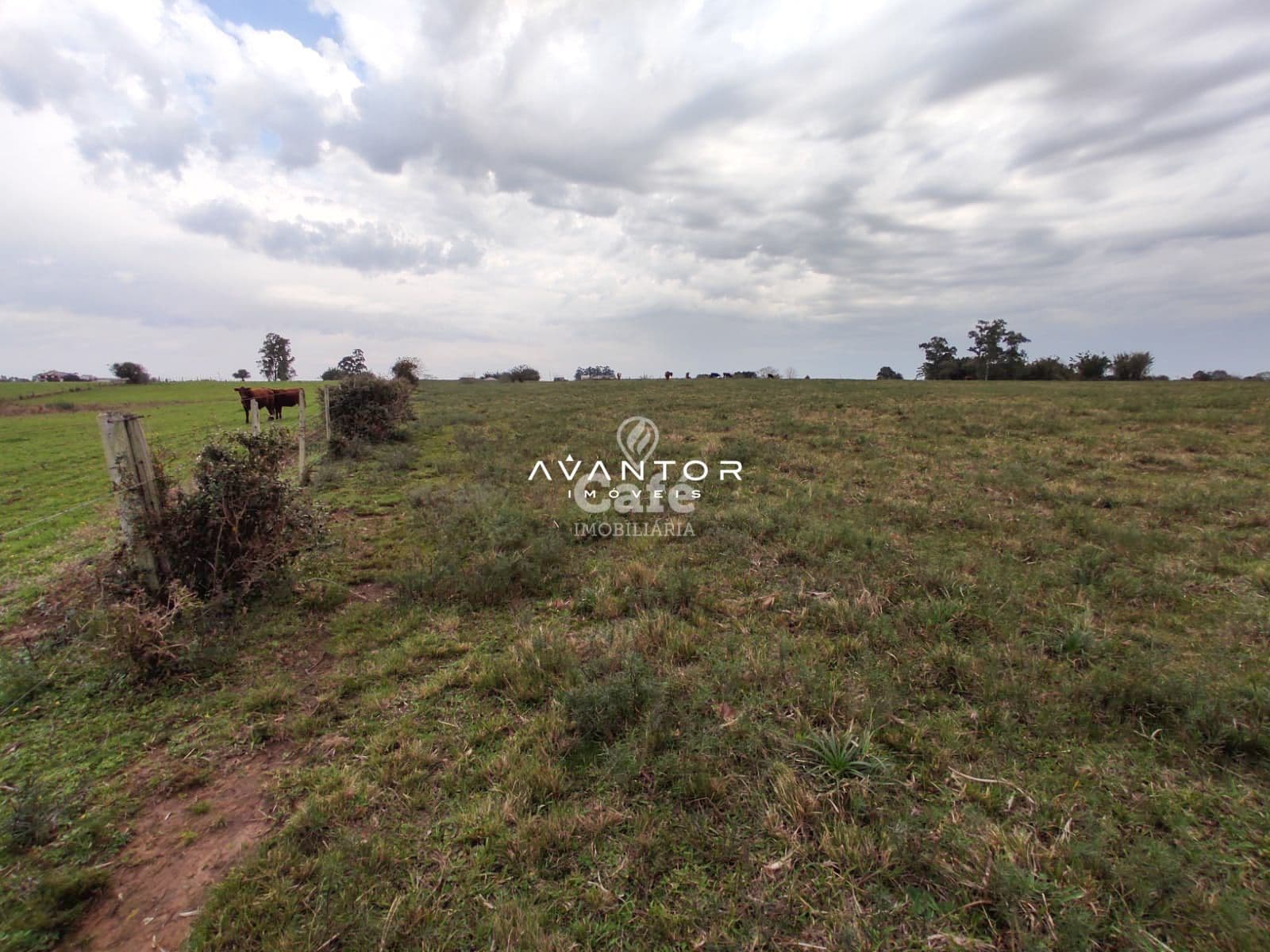 Campo à venda em Pains, Santa Maria/RS — foto 8 de 11