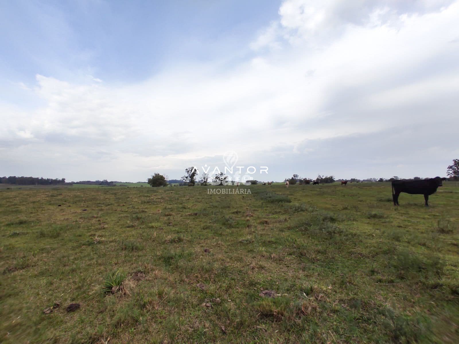 Campo à venda em Pains, Santa Maria/RS — foto 10 de 11